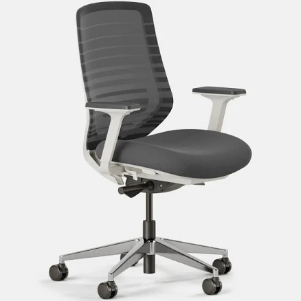 Mathis Home Branch Ergonomic Chair