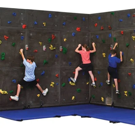 Everlast Climbing Superior Rock Climbing Wall Package